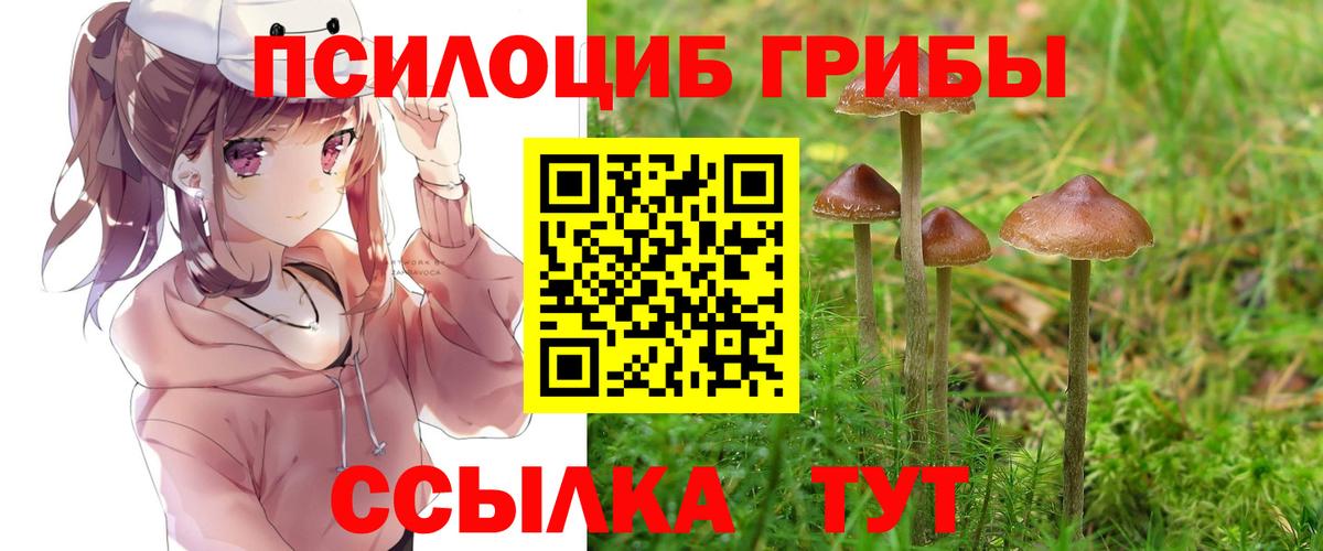 Галлюциногенные грибы мицелий  Вход с VPN  Сафоново 